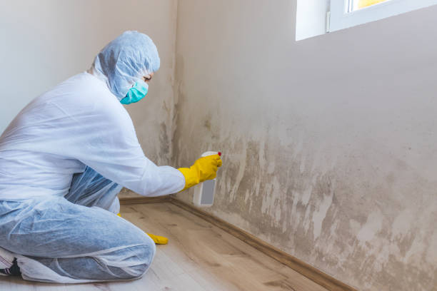 Bathroom Mold Removal assessment in South Plainfield bathroom
